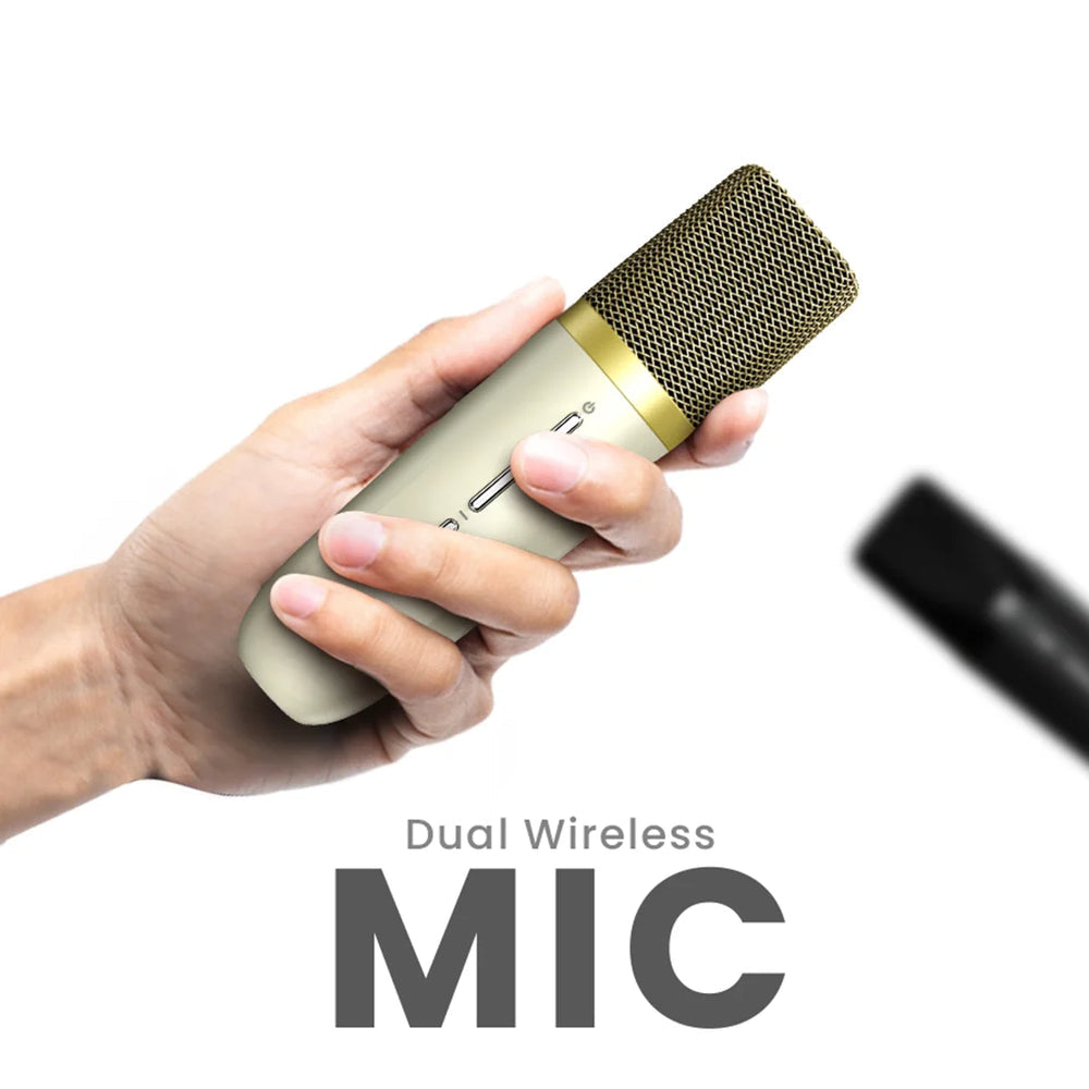 HiFuture Vocalist 100